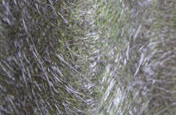 Horeb fibreglass roof work